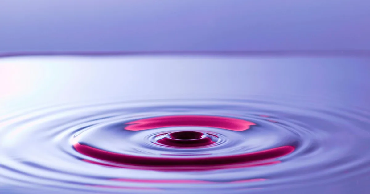 Downtown Ripley, MS, MS