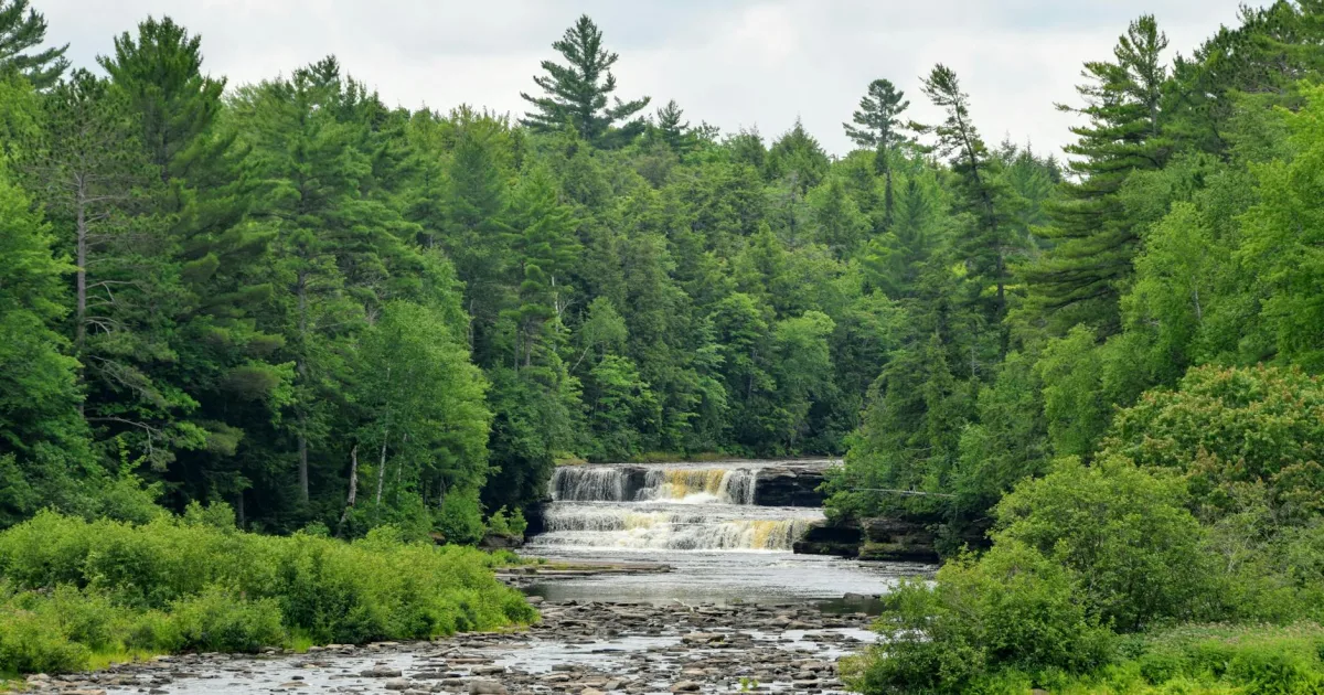 Downtown River Falls, WI, WI