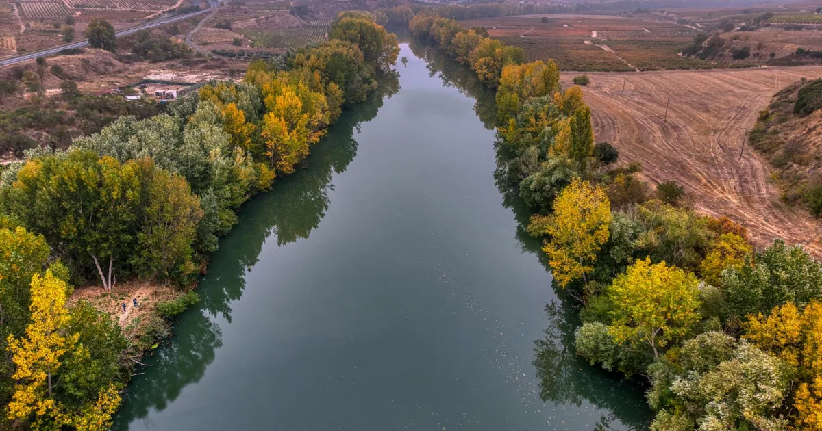 Downtown River Ridge, LA, LA
