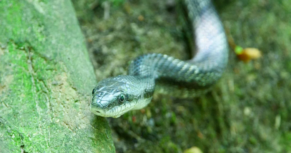 Downtown Roberts, WI, WI