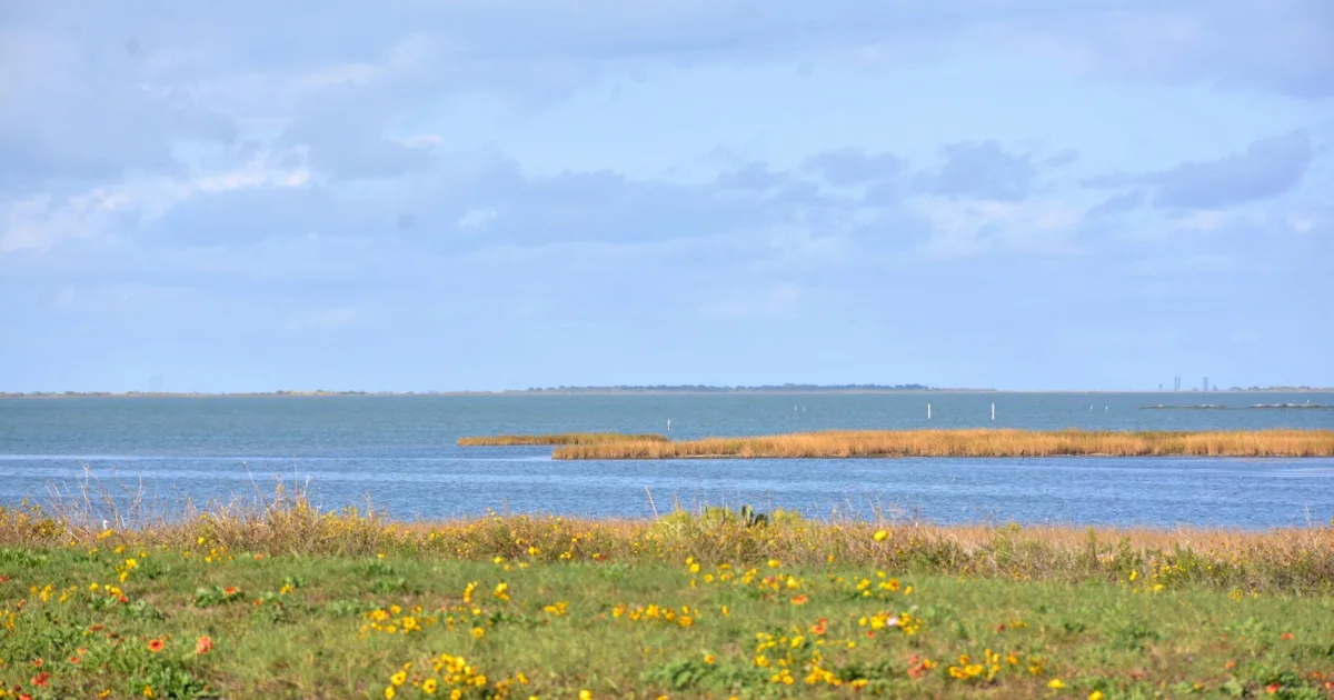 Downtown Rockport, TX, TX