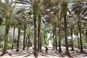 Downtown Rotonda West, FL, FL