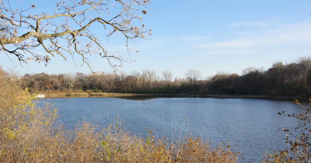 Downtown Round Lake, IL, IL