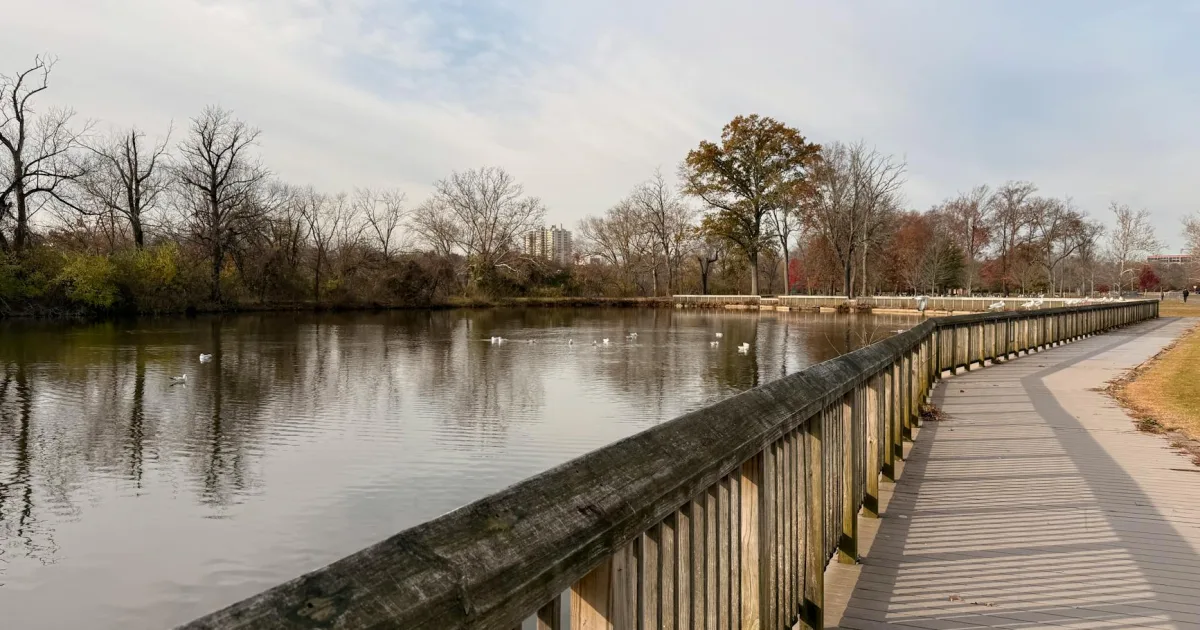 Downtown Round Lake Park, IL, IL