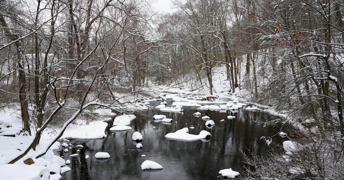 Downtown Saddle River, NJ, NJ