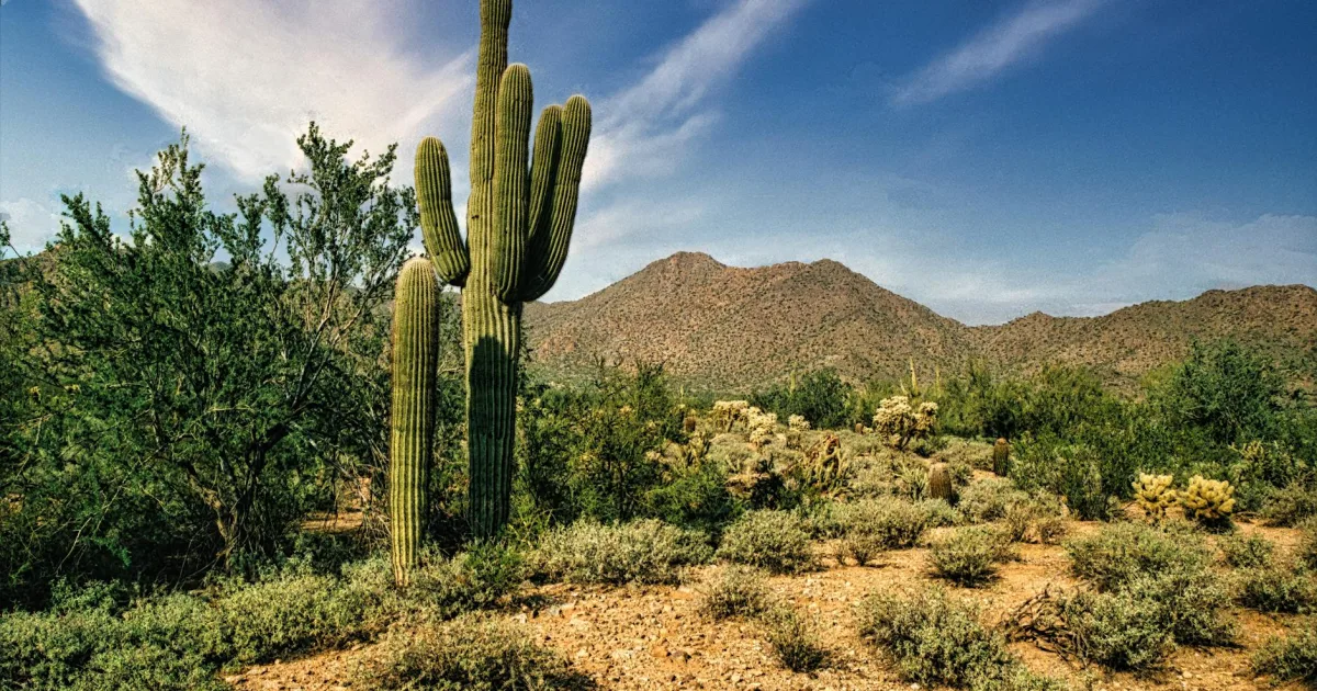 Downtown Sahuarita, AZ, AZ