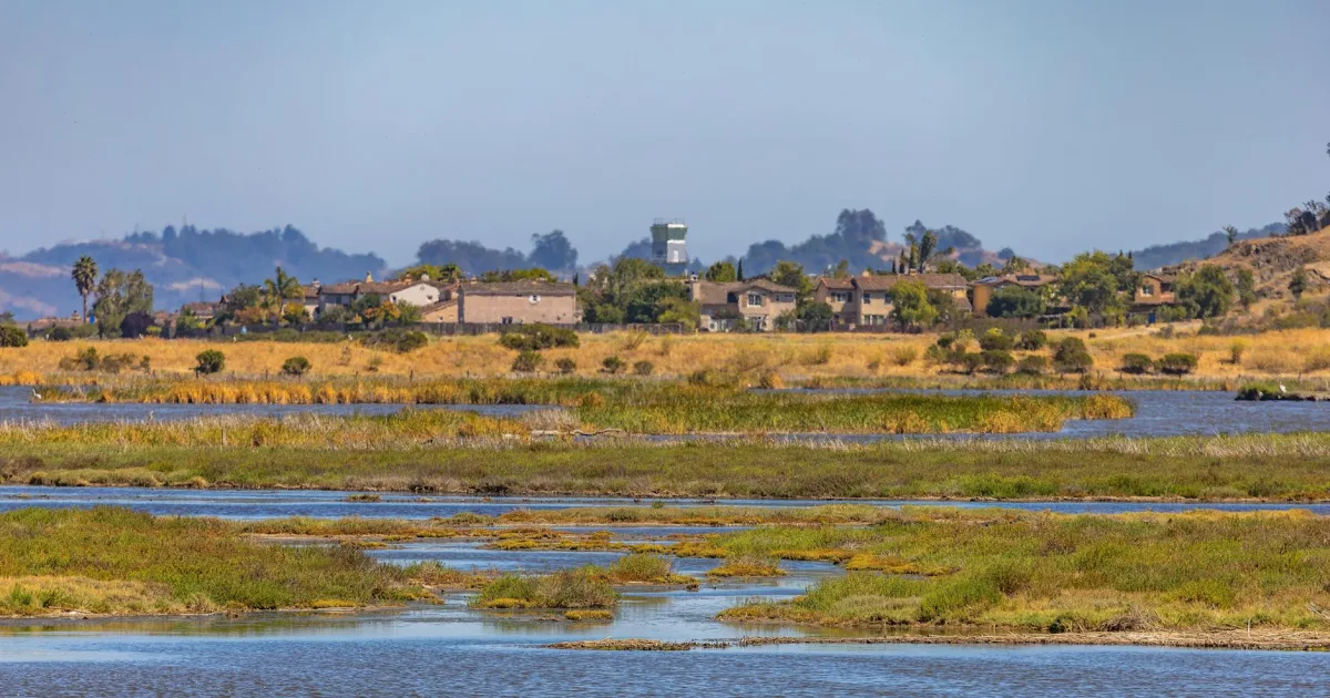 Downtown Santee, CA, CA