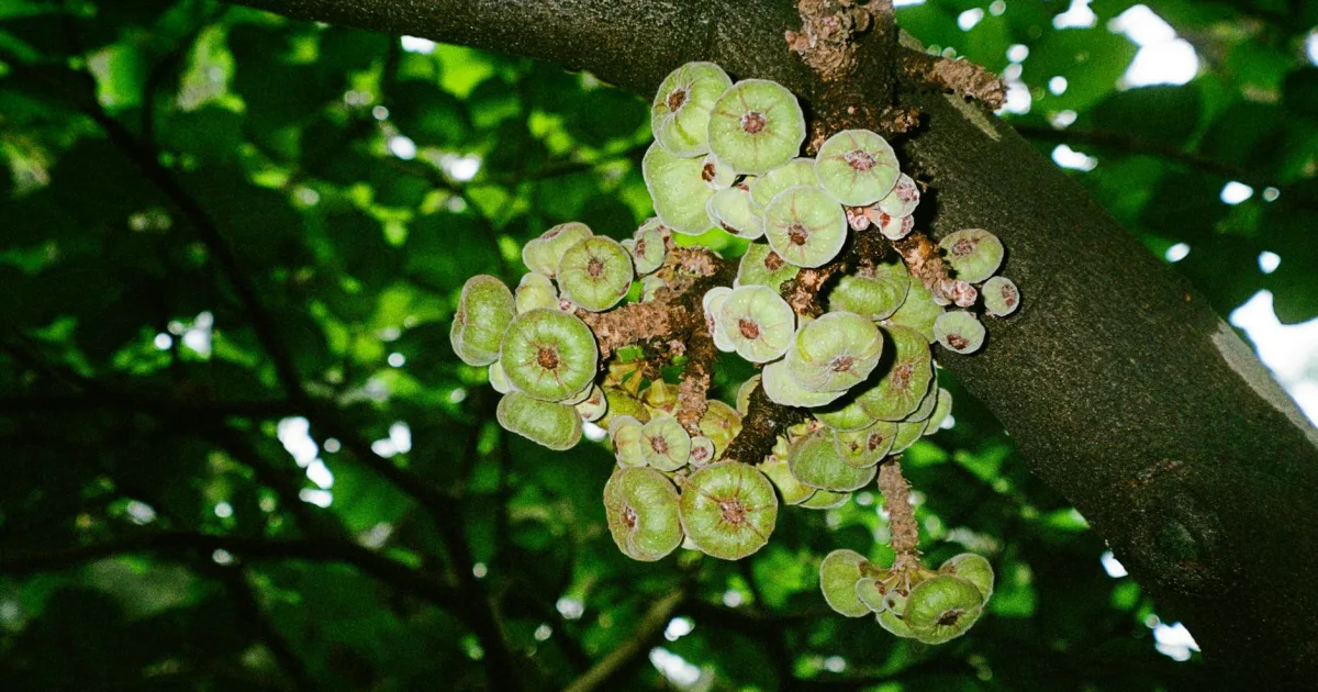 Downtown Sapulpa, OK, OK