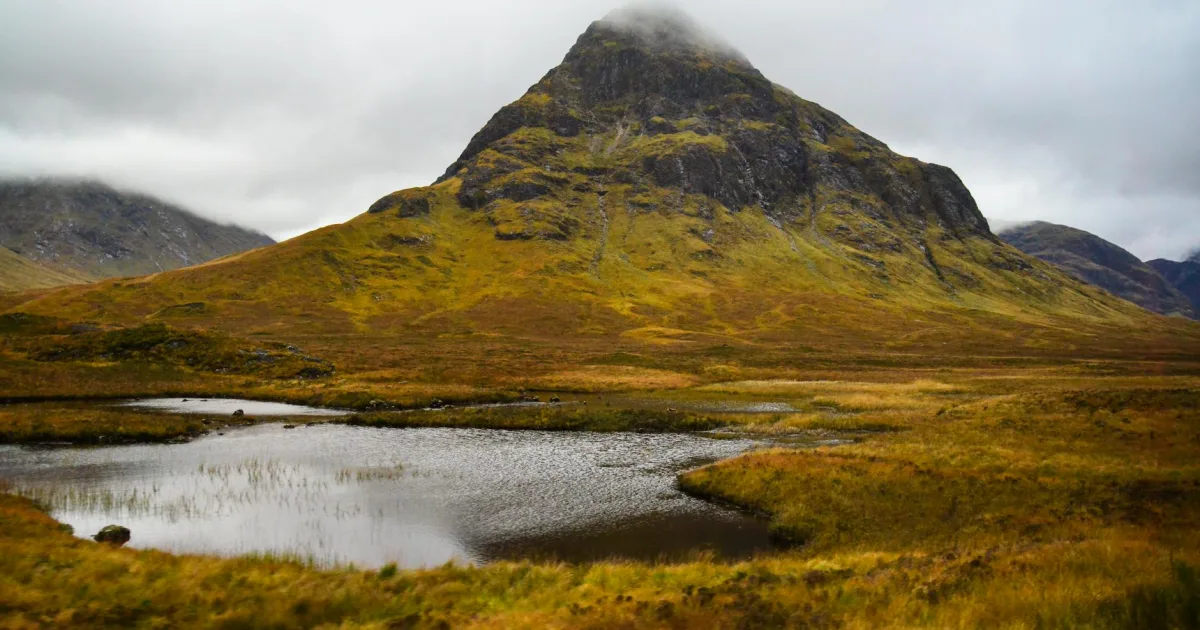 Downtown Scotland Neck, NC, NC
