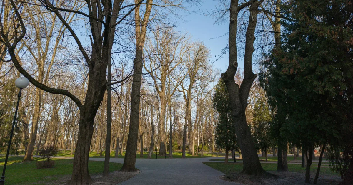 Downtown Severna Park, MD, MD