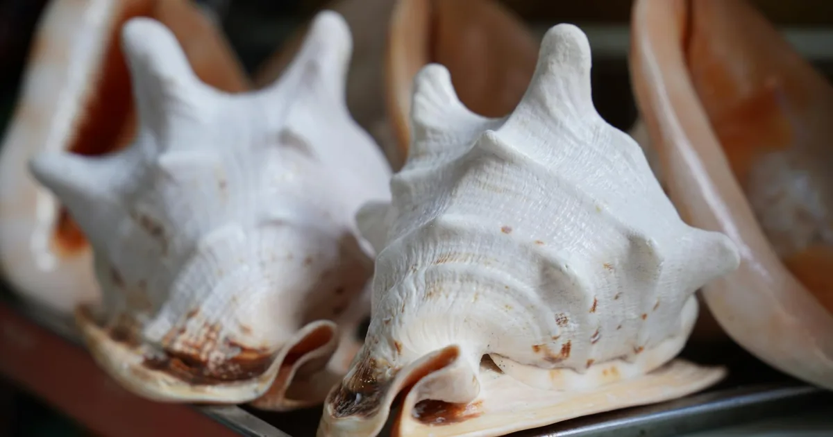 Downtown Shell Knob, MO, MO