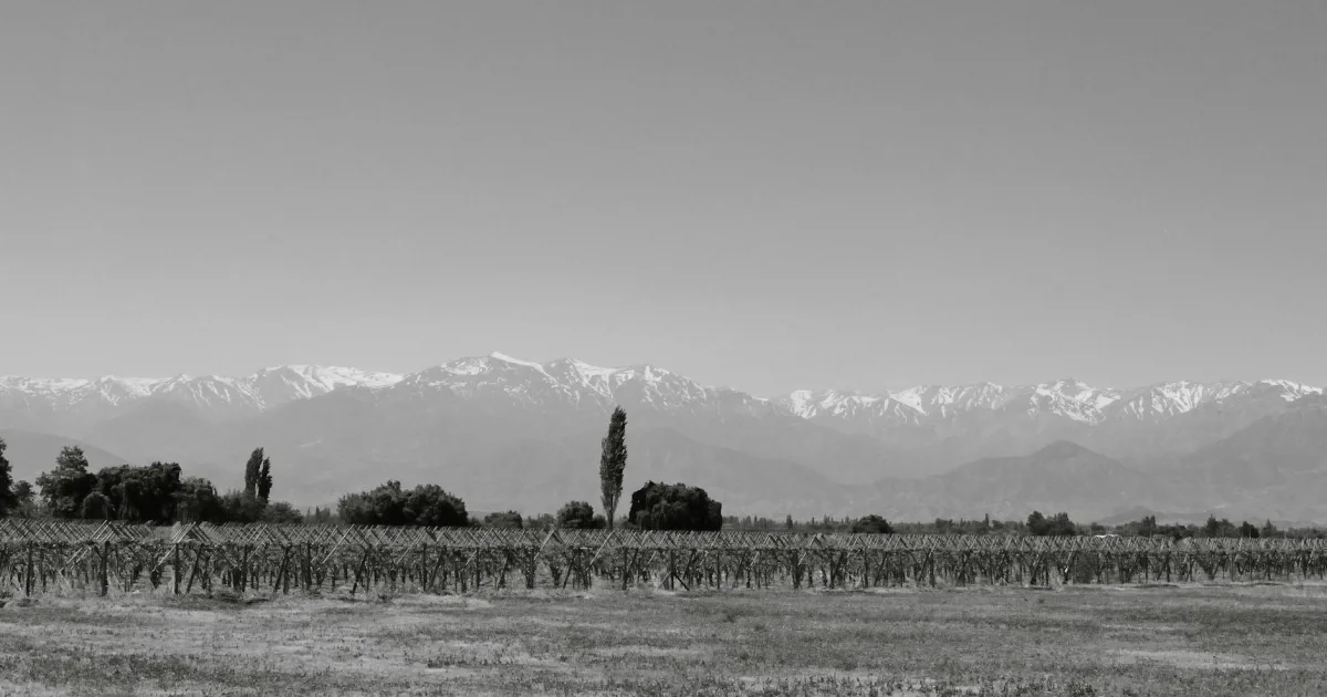 Downtown Silver Springs, NV, NV