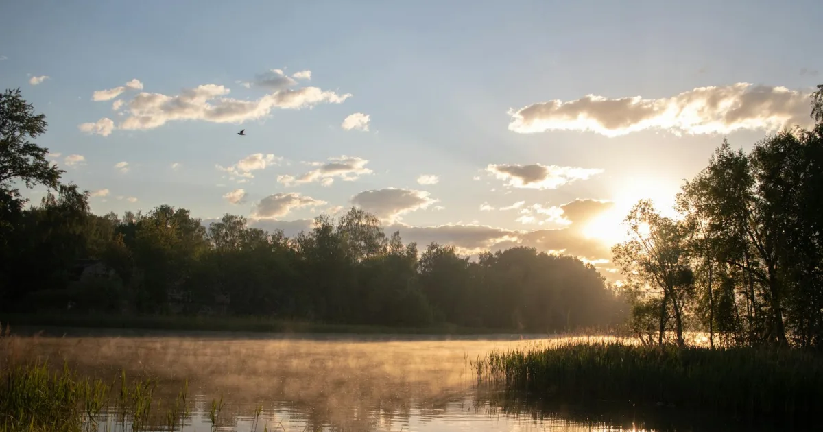 Downtown Sun Lakes, AZ, AZ