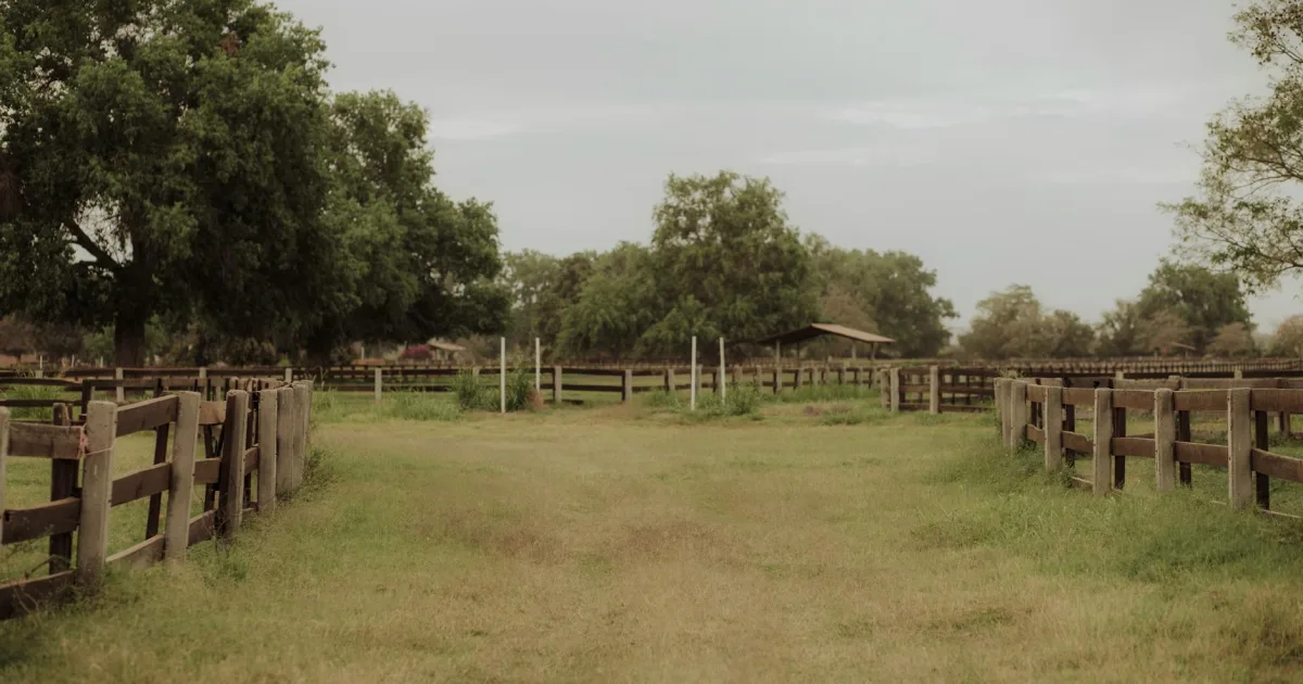 Downtown Sunshine Ranches, FL, FL