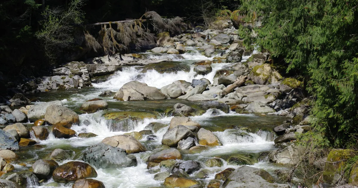 Downtown Swartz Creek, MI, MI