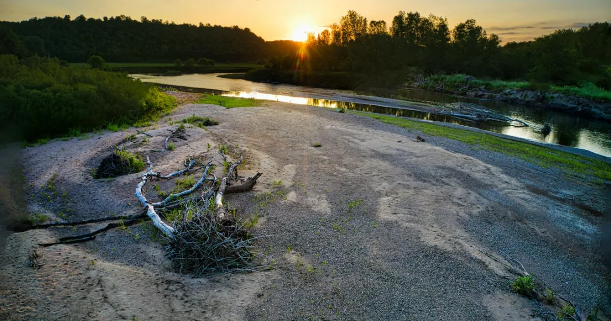 Downtown Thief River Falls, MN, MN