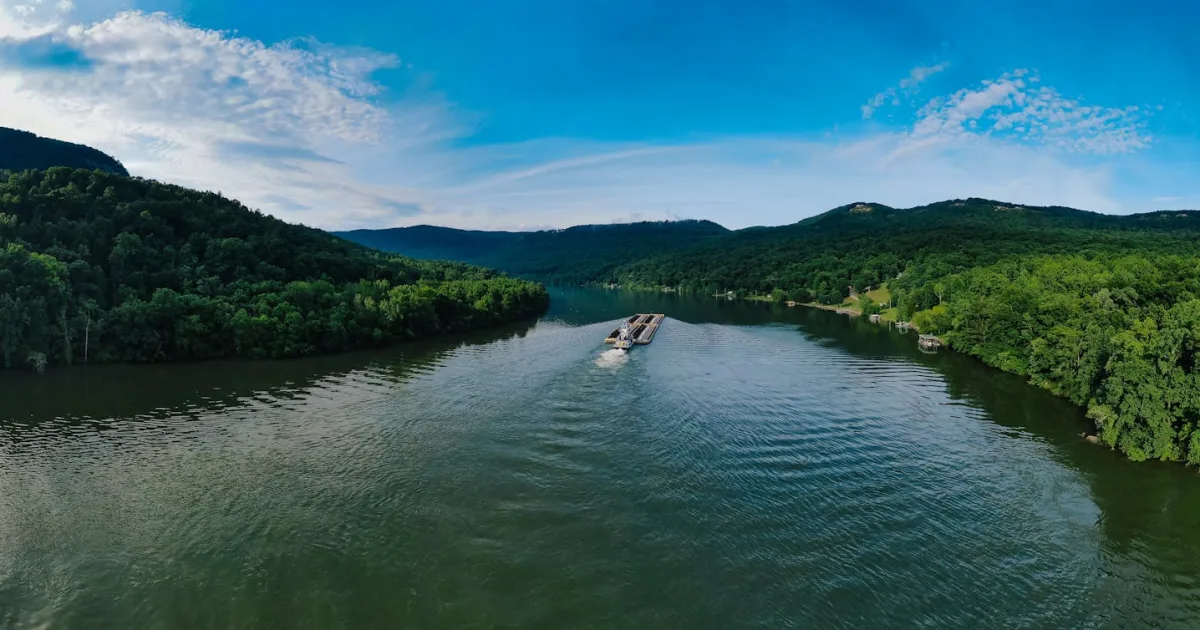 Downtown Tiptonville, TN, TN