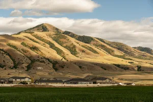 Downtown Tonopah, NV, NV