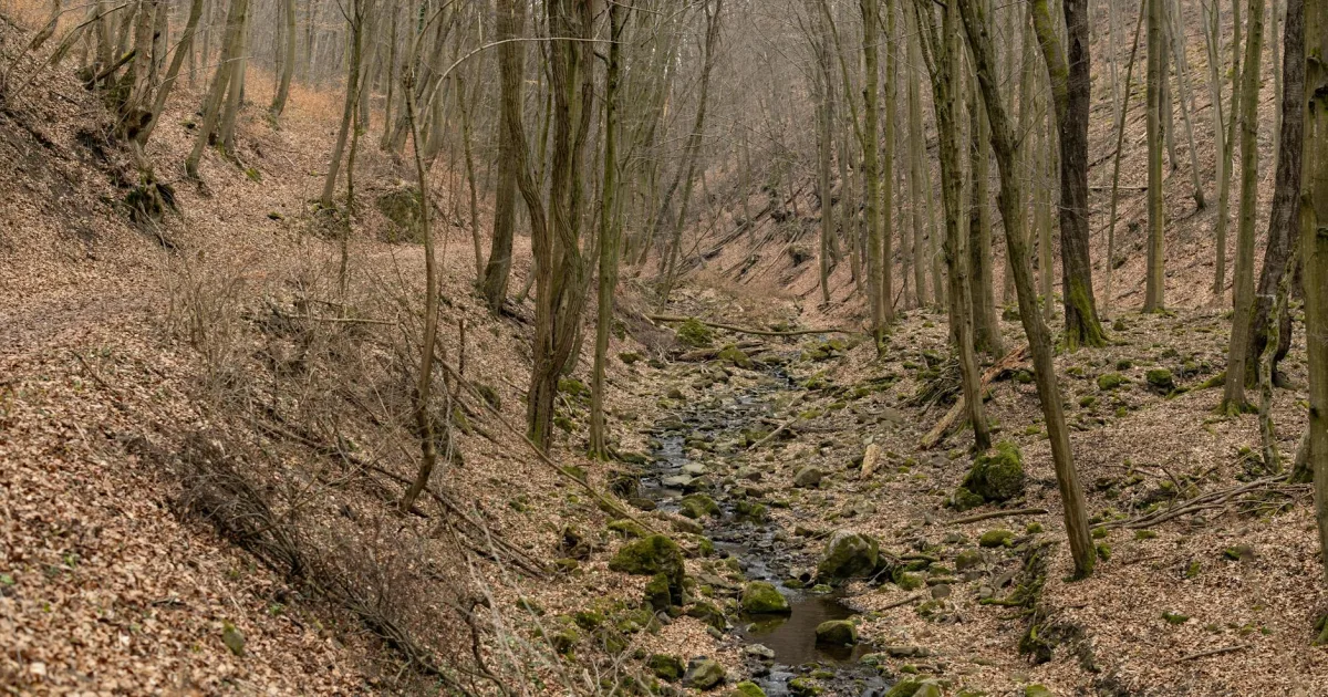 Downtown Trail Creek, IN, IN