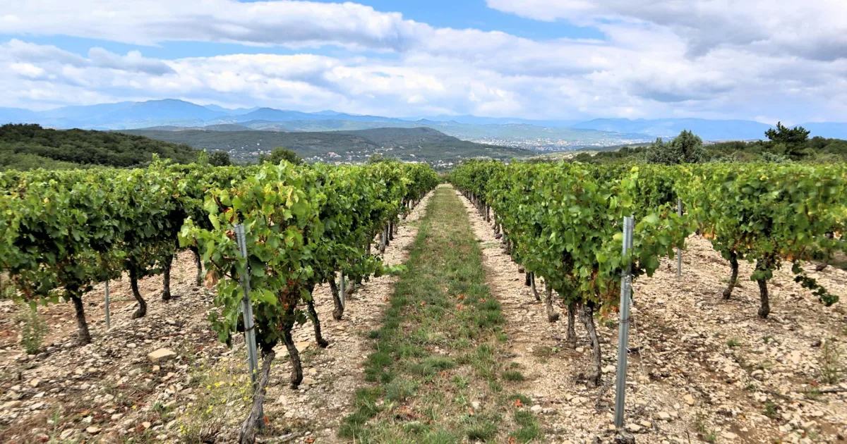 Downtown Vineyard, UT, UT