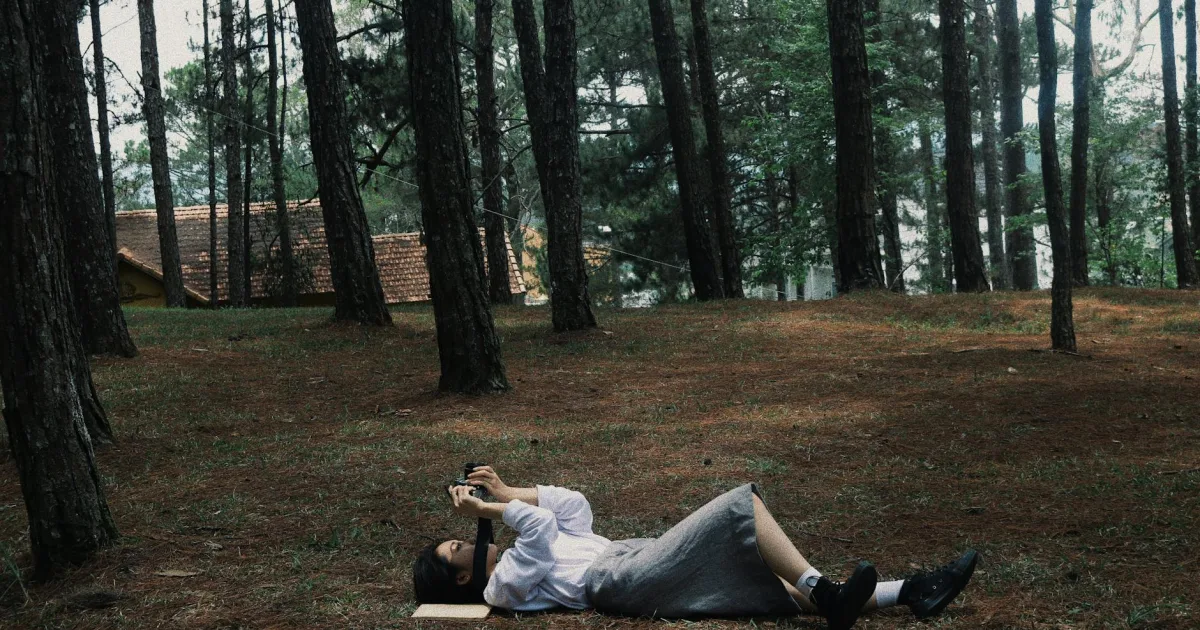 Downtown Waldo, AR, AR