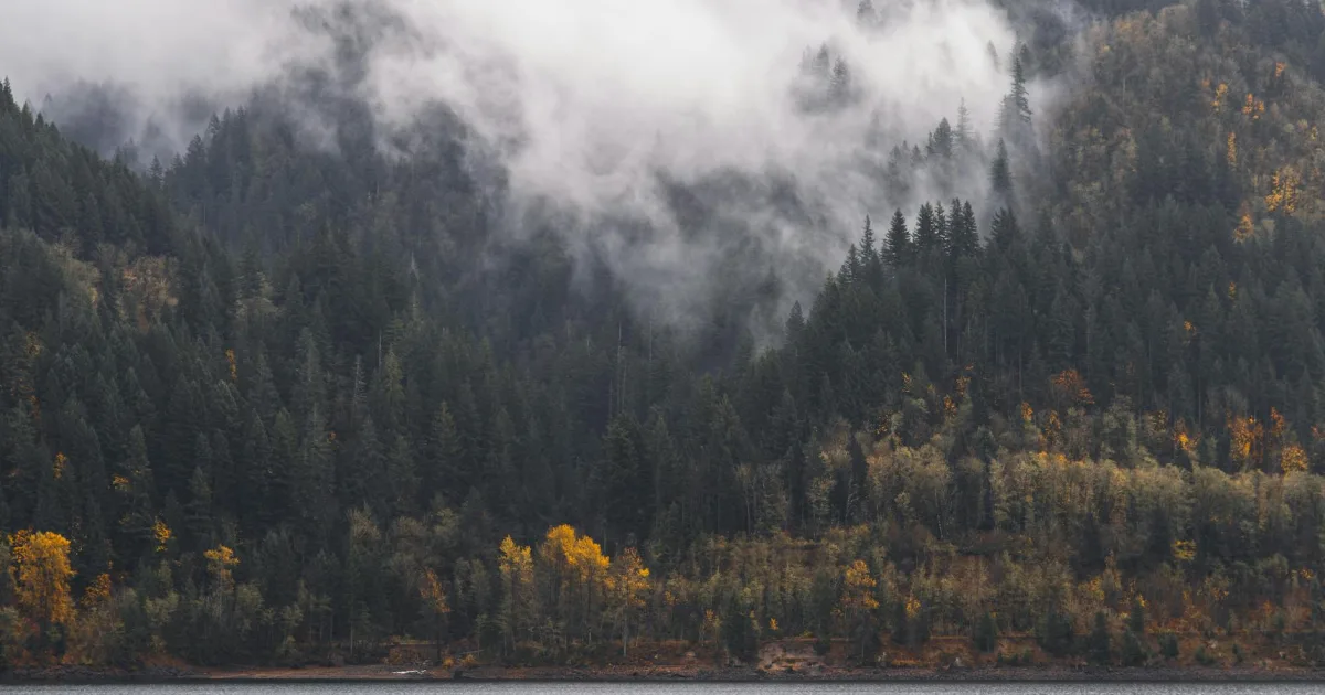 Downtown Wenatchee, WA, WA