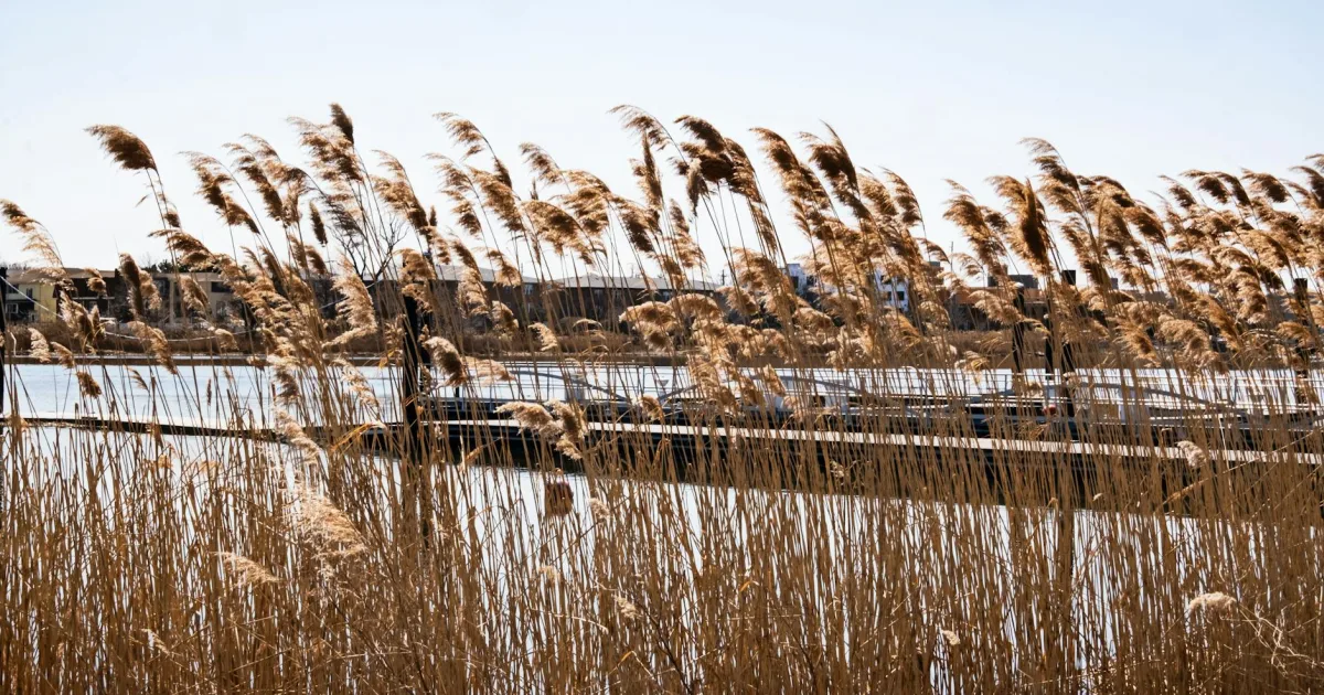 Downtown Wenonah, NJ, NJ