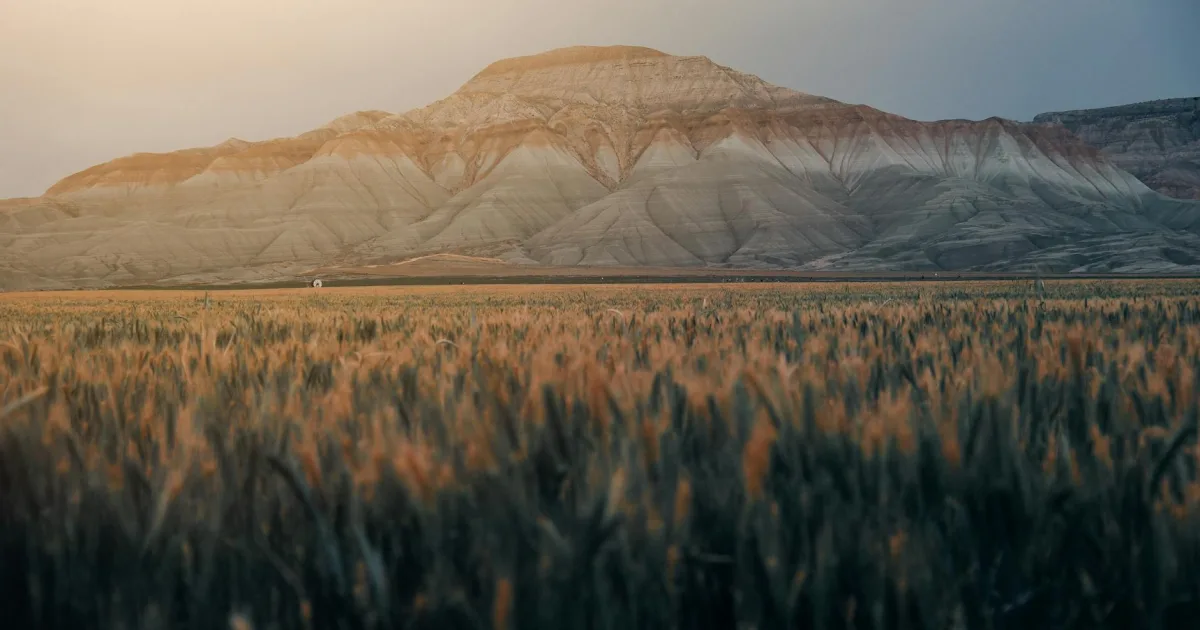 Downtown Wheat Ridge, CO, CO
