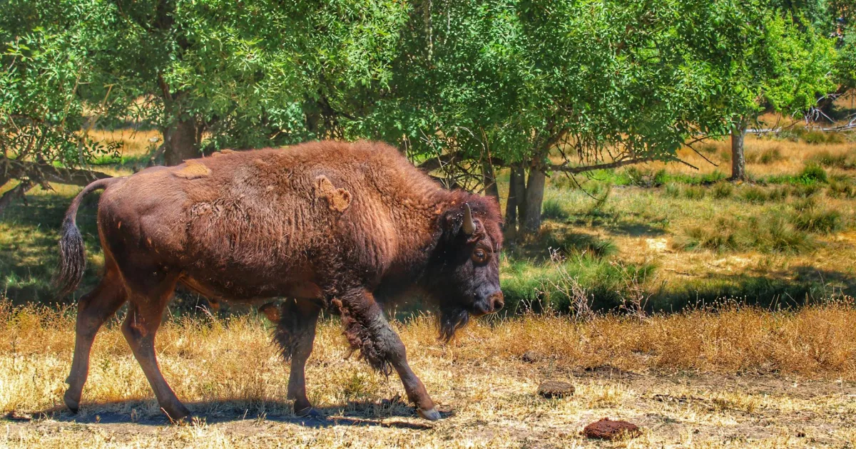 Downtown Winston, OR, OR