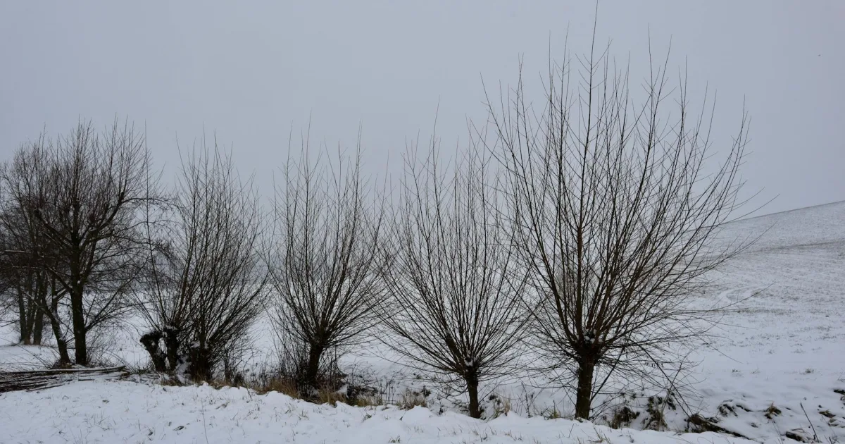 Downtown Winters, CA, CA