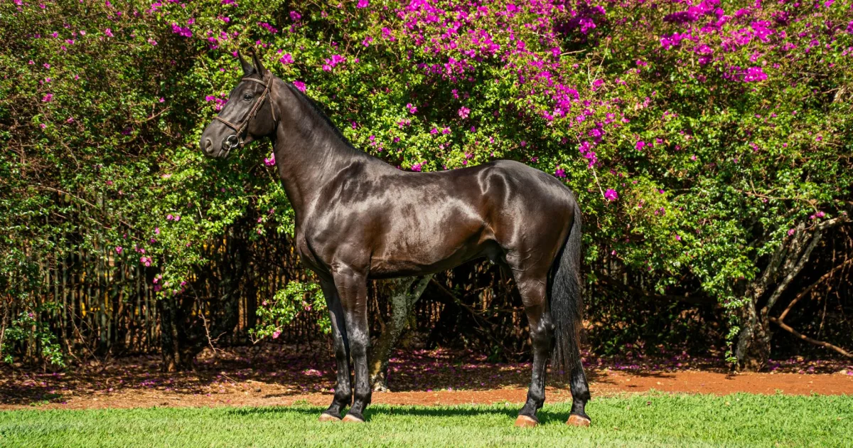 Downtown Woodhaven, MI, MI