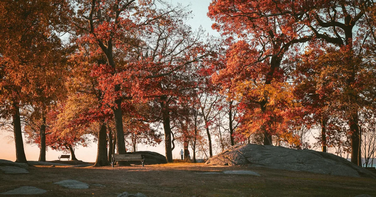 Downtown Woodland Park, NJ, NJ
