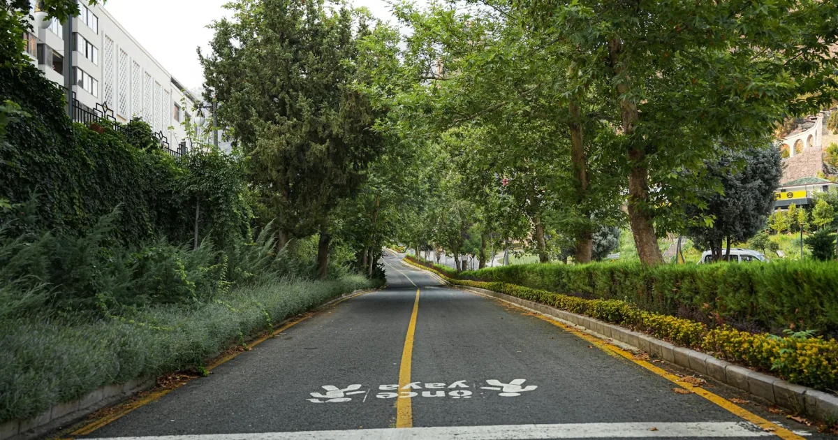 Downtown Yoncalla, OR, OR